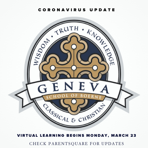 Coronavirus 3 – Virtual learning (1)