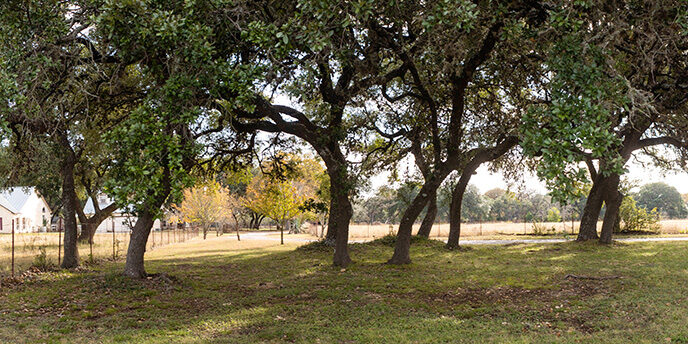 GSB land purchase 2021a