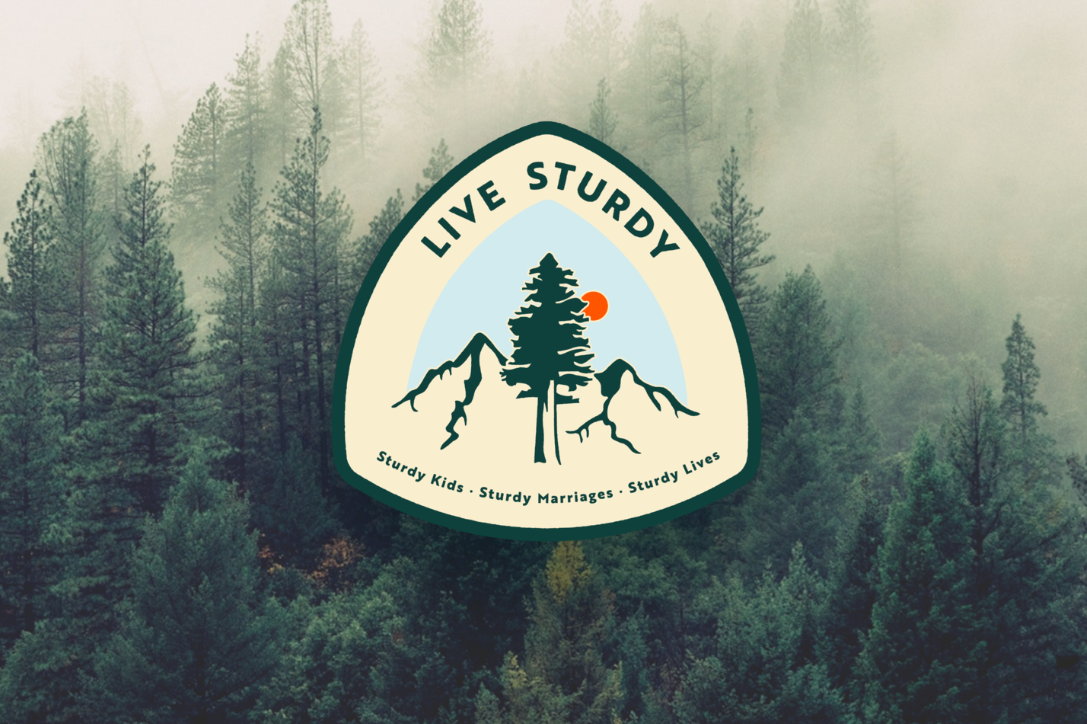 live sturdy – h